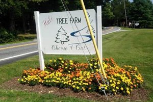 Visit Hale Tree Farm: Your Holiday Tree Tradition! | The Conscious Farmer | Sustainable Agriculture for a Healthier Planet