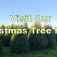 Get Your Perfect Tree at Exley's Christmas Tree Farm This Year! | The Conscious Farmer | Sustainable Agriculture for a Healthier Planet