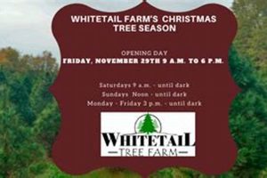 Whitetail Tree Farm: Deer Haven and Timber | The Conscious Farmer | Sustainable Agriculture for a Healthier Planet