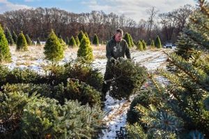 Visit Jans Tree Farm: Fresh Trees &amp; More! | The Conscious Farmer | Sustainable Agriculture for a Healthier Planet