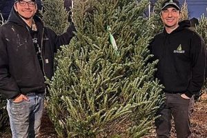 Find Your Perfect Tree: Vultaggio Royal Tree Farms LLC Lot Deals | The Conscious Farmer | Sustainable Agriculture for a Healthier Planet
