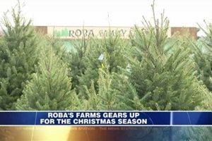 Grow Your Tree! Robas Tree Farm: [Holiday Magic] | The Conscious Farmer | Sustainable Agriculture for a Healthier Planet