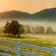 Ashland City TN Farm Bureau: Insurance & Advocacy | The Conscious Farmer | Sustainable Agriculture for a Healthier Planet