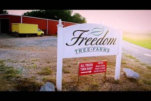 Discover Freedom Tree Farms: Your Sustainable Choice | The Conscious Farmer | Sustainable Agriculture for a Healthier Planet
