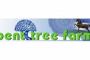 Discover Bent Tree Farm: [Location/Product] & More! | The Conscious Farmer | Sustainable Agriculture for a Healthier Planet