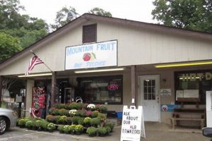 Veal Station Tree Farm: Your Source for Quality Trees Near You | The Conscious Farmer | Sustainable Agriculture for a Healthier Planet