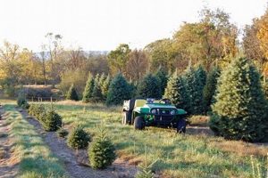 Discover Quality Tree Farm: Your Green Source | The Conscious Farmer | Sustainable Agriculture for a Healthier Planet