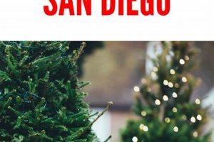 Find Your Perfect San Diego County Christmas Tree Farms This Year! | The Conscious Farmer | Sustainable Agriculture for a Healthier Planet