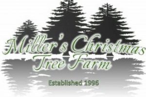Find Your Perfect Miller Christmas Tree Farm | [Year] | The Conscious Farmer | Sustainable Agriculture for a Healthier Planet