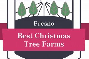 Fresno Christmas Tree Farms: Your Holiday Tradition! | The Conscious Farmer | Sustainable Agriculture for a Healthier Planet