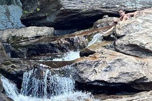 VT Tree Farm Campgrounds: Forest Camping in Vermont | The Conscious Farmer | Sustainable Agriculture for a Healthier Planet