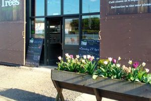 Visit Three Trees Farm: Your Local Tree Farm Getaway | The Conscious Farmer | Sustainable Agriculture for a Healthier Planet