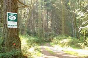 Guide to Tree Frog Farms: Setting Up Your Own! | The Conscious Farmer | Sustainable Agriculture for a Healthier Planet