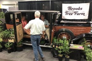 Visit Brooks Tree Farm Oregon: Holiday Trees & More! | The Conscious Farmer | Sustainable Agriculture for a Healthier Planet