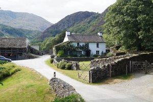 Growing Yew: Your Guide to the Yew Tree Farm Niche | The Conscious Farmer | Sustainable Agriculture for a Healthier Planet