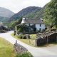 Growing Yew: Your Guide to the Yew Tree Farm Niche | The Conscious Farmer | Sustainable Agriculture for a Healthier Planet