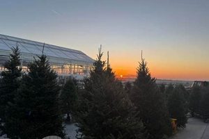 Your Bentley Ridge Tree Farm & Nursery Guide Today! | The Conscious Farmer | Sustainable Agriculture for a Healthier Planet