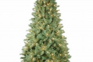 Buy Fleet Farm Christmas Trees - Best Deals &amp; More! | The Conscious Farmer | Sustainable Agriculture for a Healthier Planet