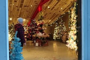 Grow Your Own: Wintergreen Tree Farm Guide & Tips | The Conscious Farmer | Sustainable Agriculture for a Healthier Planet