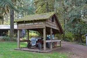 Your Guide to Magness Tree Farm: Find Trees Locally | The Conscious Farmer | Sustainable Agriculture for a Healthier Planet