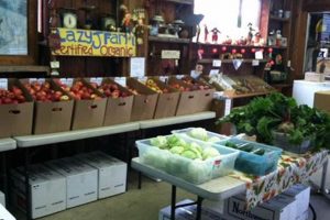 Visit Lazy J Christmas Tree Farm: Your Perfect Tree! | The Conscious Farmer | Sustainable Agriculture for a Healthier Planet
