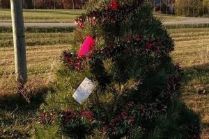 Your Guide to Rettig Tree Farm: Trees, Tips & More! | The Conscious Farmer | Sustainable Agriculture for a Healthier Planet