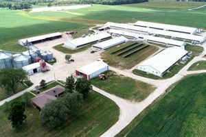The Independent Lone Tree Farm: Cultivation & Sustainability | The Conscious Farmer | Sustainable Agriculture for a Healthier Planet