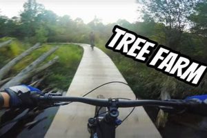 Find Your Tree: Tree Farm Novi Guide & Tips | The Conscious Farmer | Sustainable Agriculture for a Healthier Planet