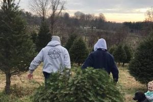 Guide: Hilltop Tree Farm Tips &amp; Care | The Conscious Farmer | Sustainable Agriculture for a Healthier Planet