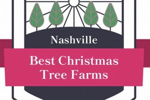 Find Your Tree: Christmas Tree Farm Nashville Guide | The Conscious Farmer | Sustainable Agriculture for a Healthier Planet