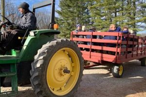Schmidt's Christmas Tree Farm: Your Fresh Holiday Tradition | The Conscious Farmer | Sustainable Agriculture for a Healthier Planet
