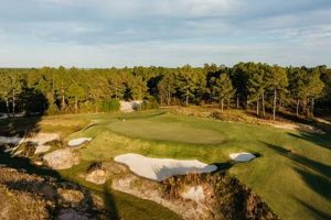 Playable Paradise: The Tree Farm Golf Course Oasis | The Conscious Farmer | Sustainable Agriculture for a Healthier Planet