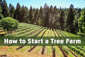 Guide: How to Start a Tree Farm - Profit & Growth | The Conscious Farmer | Sustainable Agriculture for a Healthier Planet