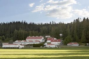 WA Carnation Tree Farms: Grow &amp; Buy Carnations Near You | The Conscious Farmer | Sustainable Agriculture for a Healthier Planet