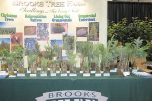 Visit Brooks Tree Farm: Christmas Trees & More! | The Conscious Farmer | Sustainable Agriculture for a Healthier Planet