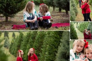 Find Your Perfect Tree | Jordan Christmas Tree Farm | Holiday Magic | The Conscious Farmer | Sustainable Agriculture for a Healthier Planet