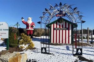 Dzen Tree Farm CT: Your Local Tree Experts in CT | The Conscious Farmer | Sustainable Agriculture for a Healthier Planet