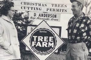 Visit Anderson's Tree Farm: Fresh Cut Christmas Trees! | The Conscious Farmer | Sustainable Agriculture for a Healthier Planet