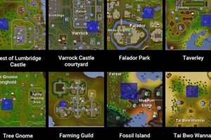 OSRS Magic Tree Farming: A Profitable Tree Farm Guide | The Conscious Farmer | Sustainable Agriculture for a Healthier Planet