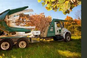Grow a Shade Tree Farm: Benefits & Planning Tips | The Conscious Farmer | Sustainable Agriculture for a Healthier Planet
