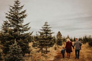 Spokane Christmas Tree Farm Guide: Find Your Perfect Tree! | The Conscious Farmer | Sustainable Agriculture for a Healthier Planet