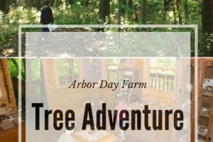 Plan Your Arbor Day Farm Tree Adventure | Fun & Learning! | The Conscious Farmer | Sustainable Agriculture for a Healthier Planet