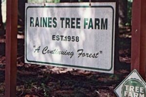 Visit Raines Tree Farm: Your Local Tree Experts! | The Conscious Farmer | Sustainable Agriculture for a Healthier Planet