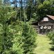 SC Tree Farms: Your Guide to South Carolina Timber | The Conscious Farmer | Sustainable Agriculture for a Healthier Planet
