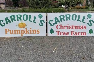 Carroll's Christmas Tree Farm: Fresh Cut Trees & Holiday Joy! | The Conscious Farmer | Sustainable Agriculture for a Healthier Planet