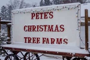 Pete's Tree Farm: Find Your Perfect Tree! | The Conscious Farmer | Sustainable Agriculture for a Healthier Planet