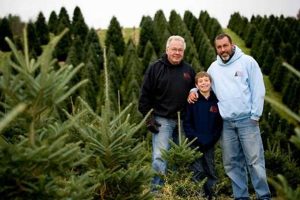 Visit Boyd Mountain Tree Farm: Your Perfect Tree Awaits! | The Conscious Farmer | Sustainable Agriculture for a Healthier Planet