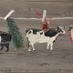 Rustic Farm Animal Christmas Tree Ornaments Decor | The Conscious Farmer | Sustainable Agriculture for a Healthier Planet