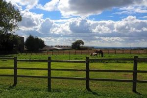 Growing Oak Tree Farm: Tips & Benefits | The Conscious Farmer | Sustainable Agriculture for a Healthier Planet