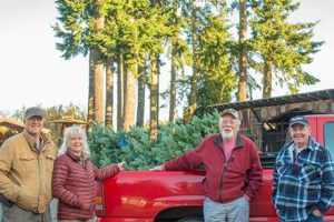 Visit Lazy J Tree Farm: Your [Location] Christmas Tree Source | The Conscious Farmer | Sustainable Agriculture for a Healthier Planet